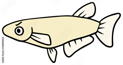 シンプルなメダカのイラスト_怒り顔