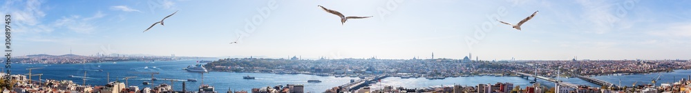 Golden Horn in Istanbul, famous sights in full panorama, Turkey