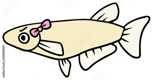 シンプルなメスのメダカのイラスト_怒り顔