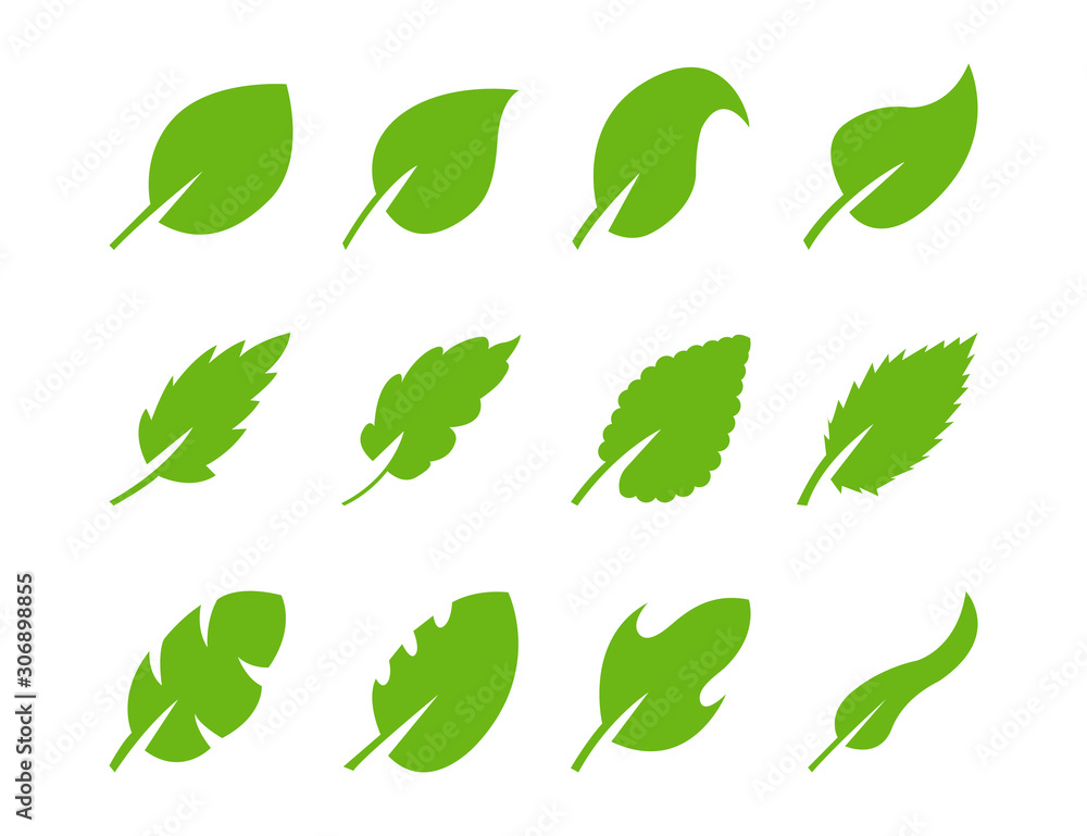 Set of green leaf of different design on white backgrund. Set of green leaf of different design on white backgrund.