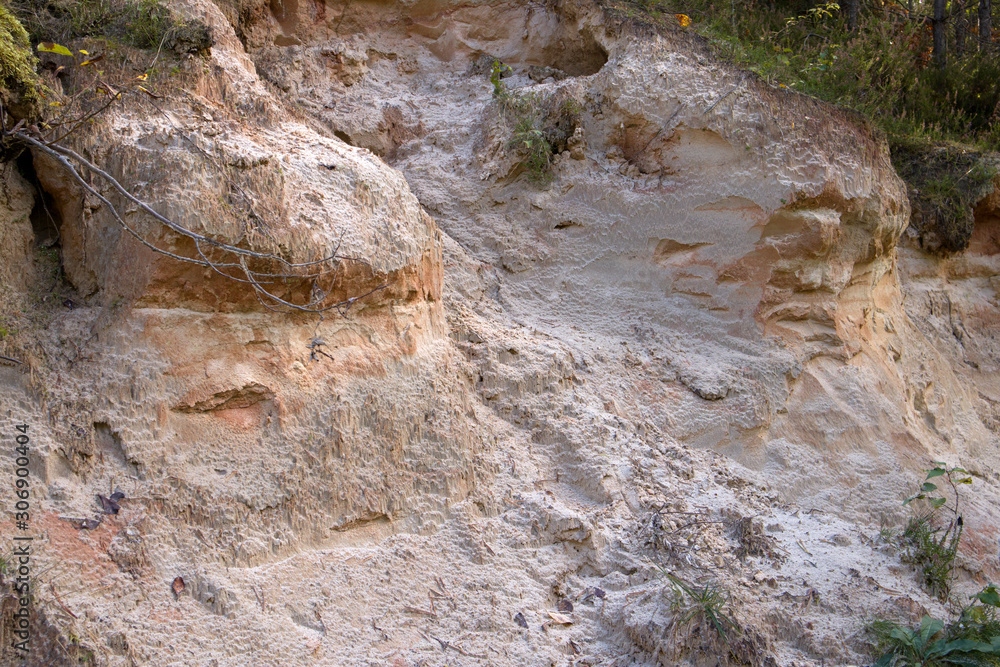 Cross section of sandy soil, relief vertical cut closeup, textured background image Cross section of sandy soil, relief vertical cut closeup, textured background image