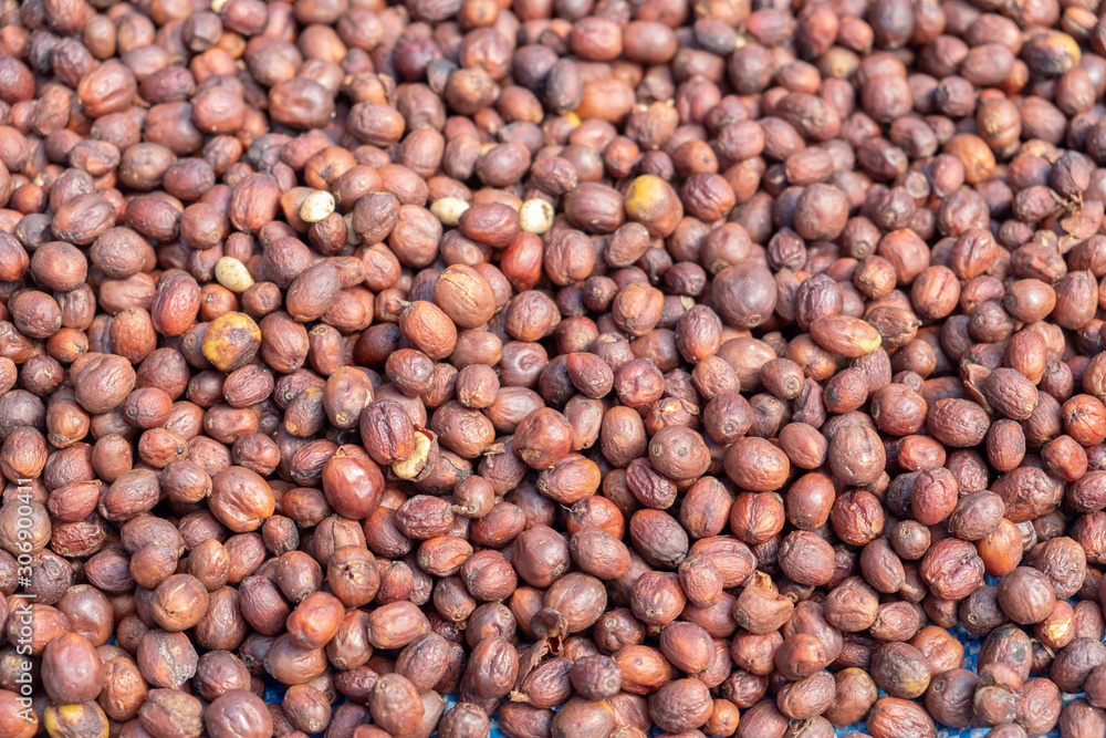 Coffee cherry bean Coffee cherry bean