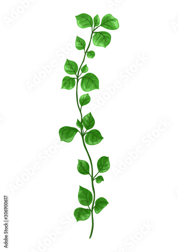 Illustration of sprig with green leaves.