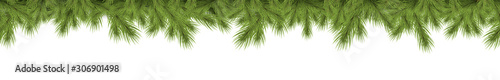 seamless fir branch on upper side