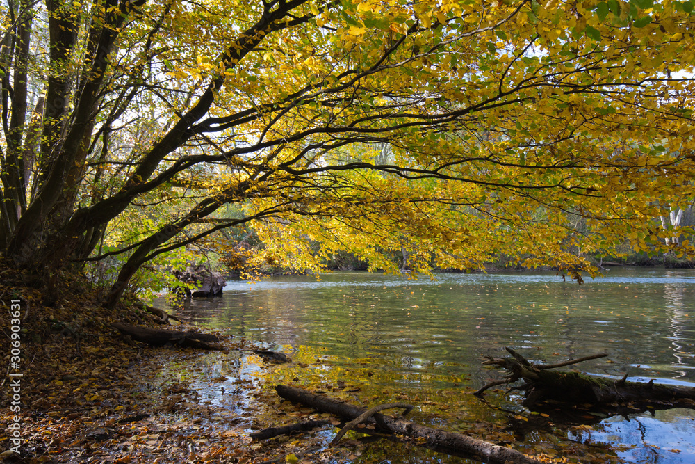Obraz premium herbst im Naturschutzgebiet Würmtal bei Gauting