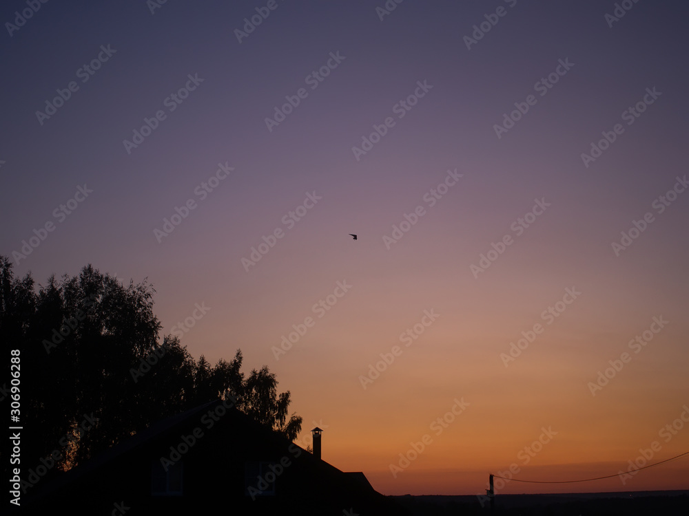 hang glider with motor in the evening sky, Russia. hang glider with motor in the evening sky, Russia.