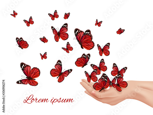 Butterfly in hands. Flying wings papillon farfalle monarchs many colored butterflies vector concept. Insect flying from human hands illustration