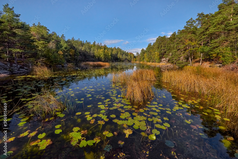 Autumn at the lake - Sweden, Stockholm, around the Bagarmossen district
