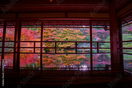 日本家屋から見た紅葉 © Haru Works