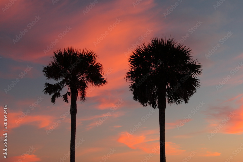 Red and orange sunset with palm trees on the beach in Florida in winter