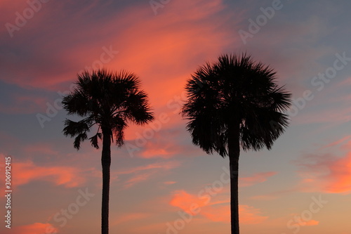 Red and orange sunset with palm trees on the beach in Florida in winter
