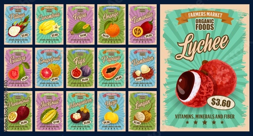 Tropical fruits menu, farm market fruits price list. Vector natural tropical pittaya, carambola starfuirt and feijoa, organic orange citrus and tamarillo, guava and grapefruit, exotic figs and papaya
