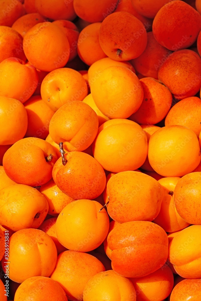 Ripe orange apricots in bulk at a farmers market Ripe orange apricots in bulk at a farmers market