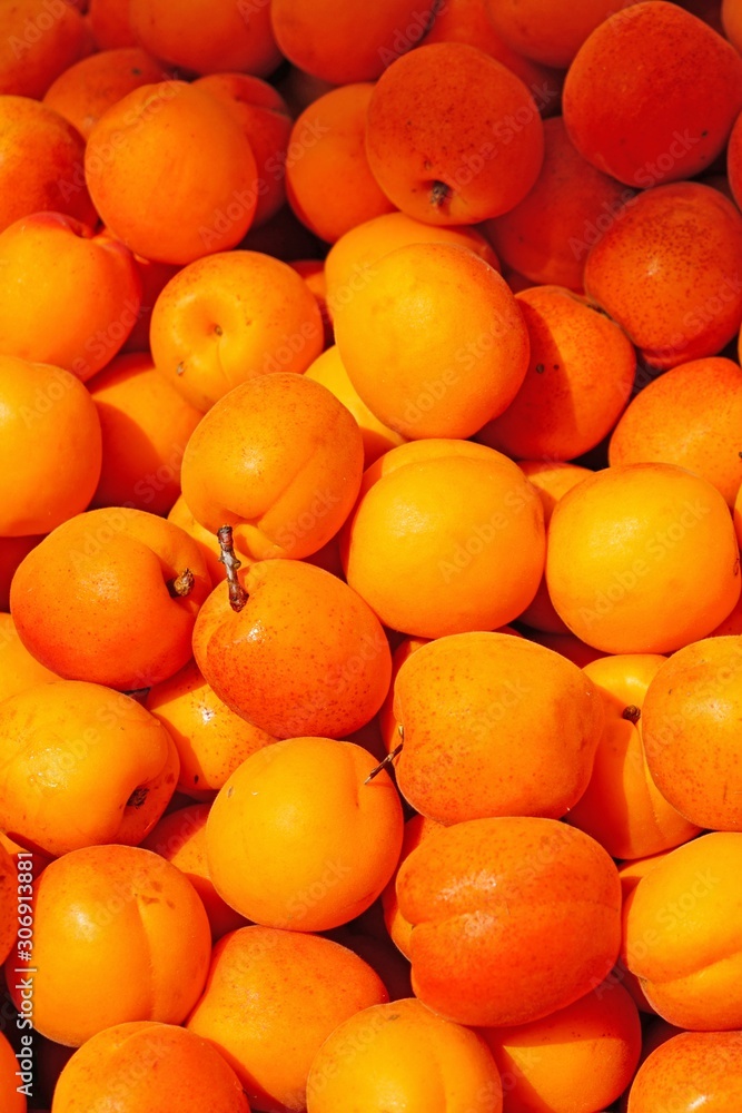 Ripe orange apricots in bulk at a farmers market