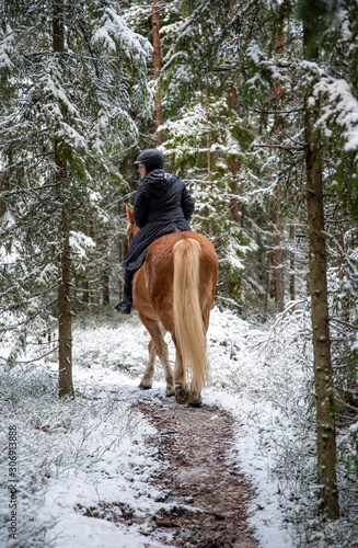 Woman horseback riding in snowy forest