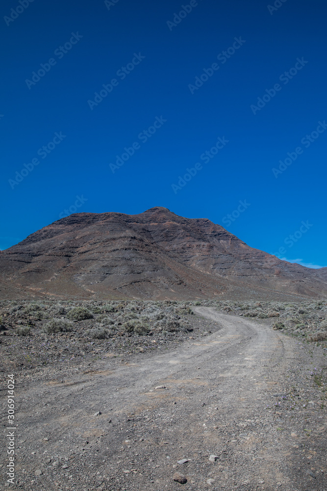 Landshot from the island of Fuerteventure (Canaria Island)