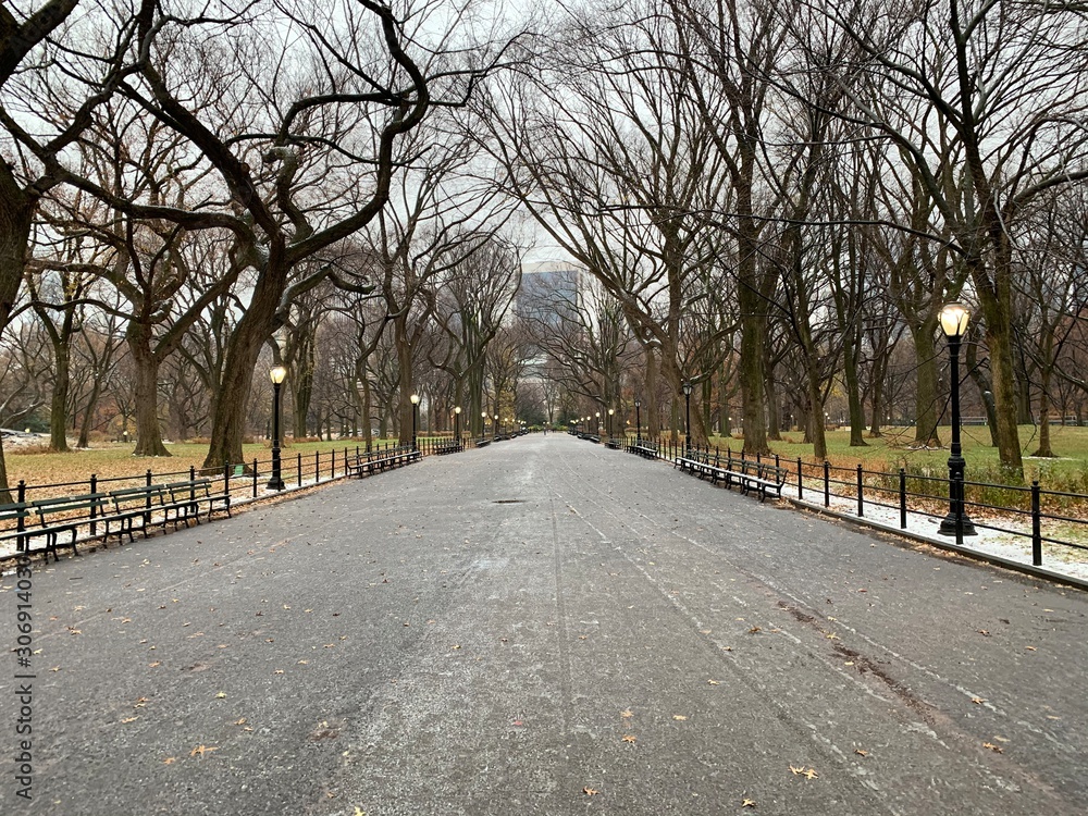 Central Park New York City. First snowfall.
