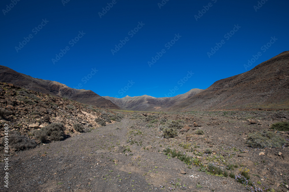 Landshot from the island of Fuerteventure (Canaria Island)
