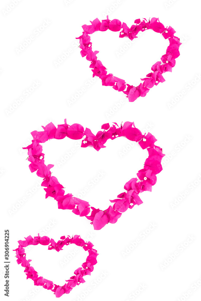 heart pattern of pink natural bougainvillea flowers for valentines day