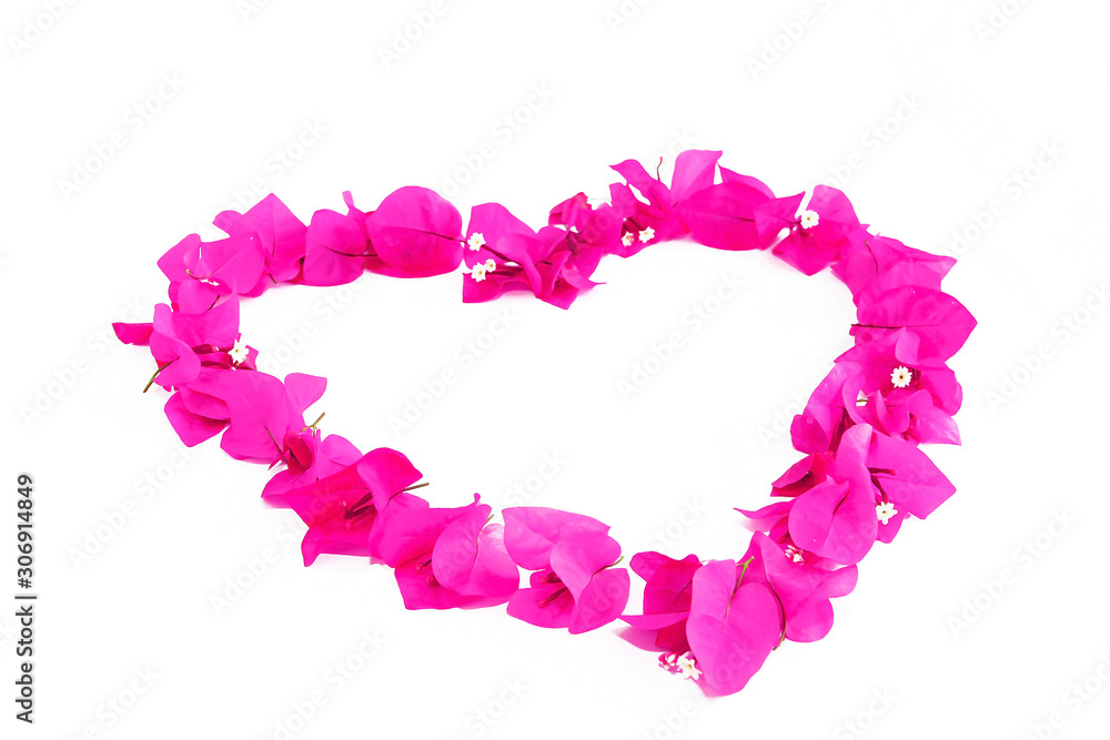 heart pattern of pink natural bougainvillea flowers for valentines day