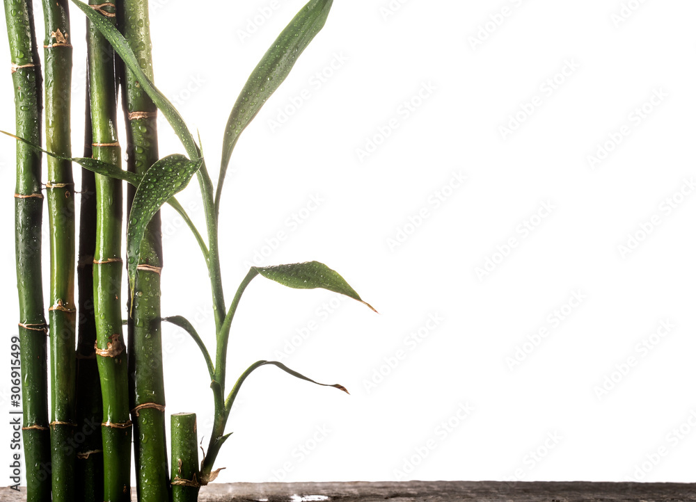 Obraz premium Grean bamboo leaves isolated on white background