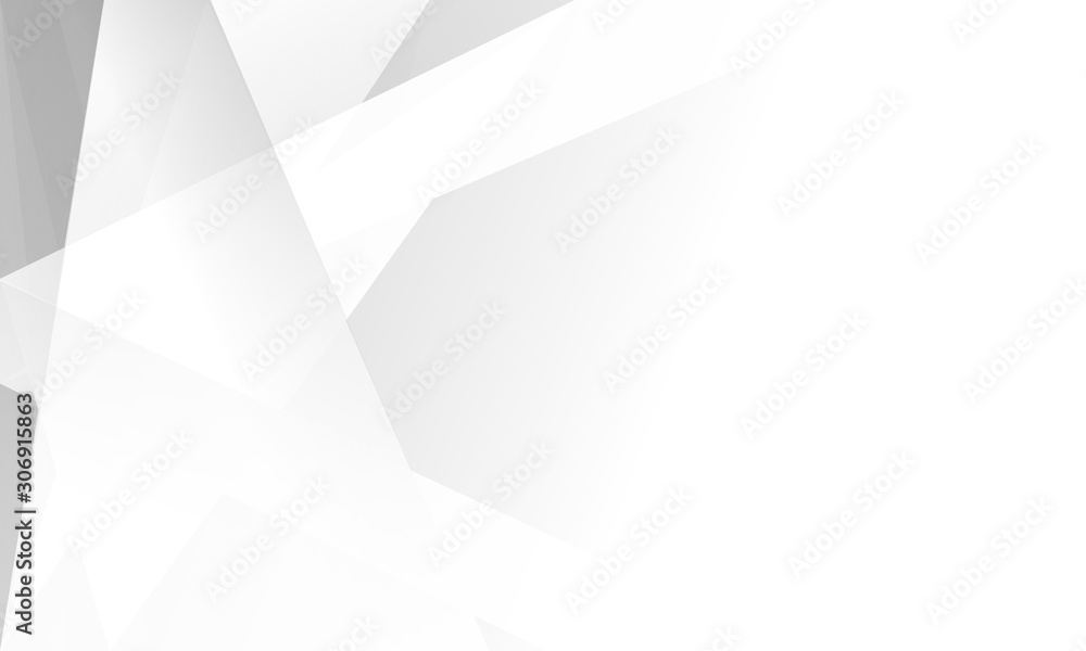 Fototapeta premium white and Gray wallpaper abstract modern background. space design. shadow style.