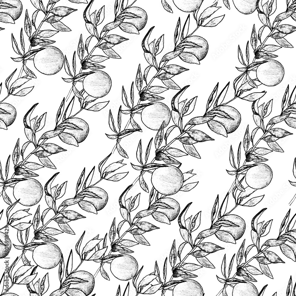 graphic drawing. Pattern of plum twigs, black lines