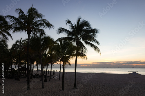Palm Trees Silhouetted Against a Blue Sunrise