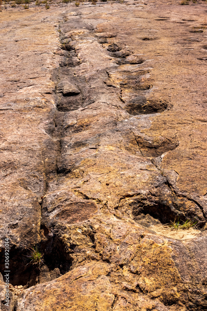 Fossilized dinosaur tracks at Torotoro, Bolivia. Fossilized dinosaur tracks at Torotoro, Bolivia.