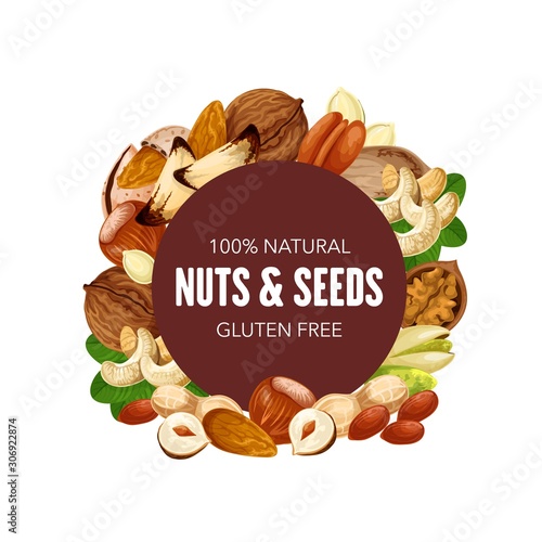 Nuts and natural seeds, organic raw and vegetarian food, healthy superfood nutrition. Vector GMO free hazelnut or walnut and almond, sunflower seeds and pistachio nuts, peanut and macadamia