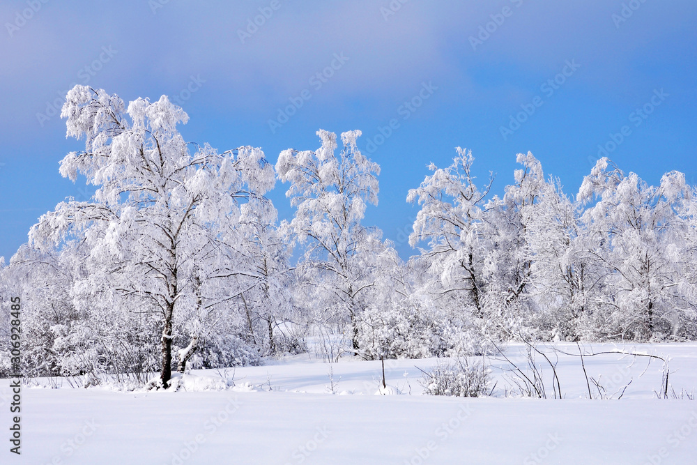 Winterzauber Winterzauber