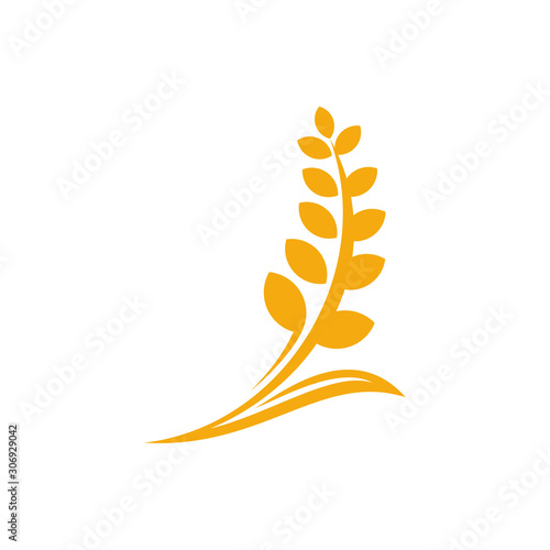 Agriculture Wheat logo template vector, Luxury Wheat Logo Concept, Icon Symbol