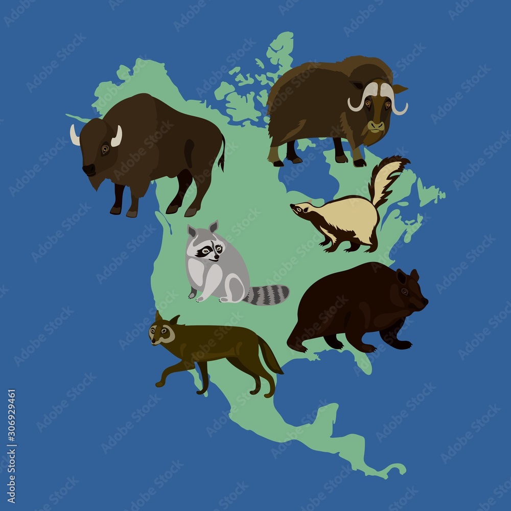 Obraz premium North American Animal Illustration Set on Map