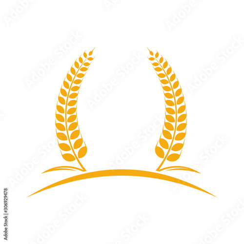 Agriculture Wheat logo template vector, Luxury Wheat Logo Concept, Icon Symbol