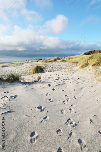 Fototapeta Naklejka Na Ścianę i Meble -  Sandstrand auf Insel Sylt
