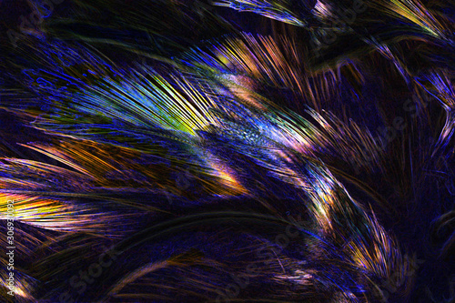 Abstract art of beautiful paint of feather for texture background and design,Colorful and fancy colored © Chunnapa