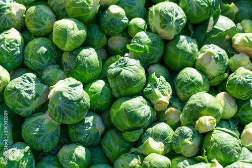 A Closeup Background of Green Brussels Sprouts