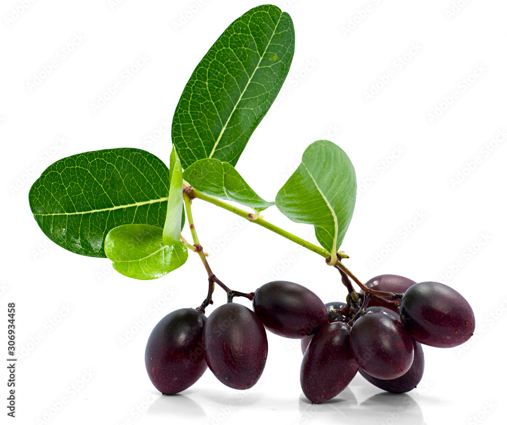 Carunda or Karonda fruit isolated on white background Carunda or Karonda fruit isolated on white background