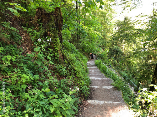 Felsenweg Bürgenstock (Burgenstock or Buergenstock) - Educational trail with a view, Obbürgen (Obburgen or Obbuergen) - Canton of Nidwalden, Switzerland photo