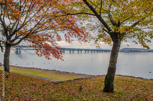 秋の琵琶湖湖畔