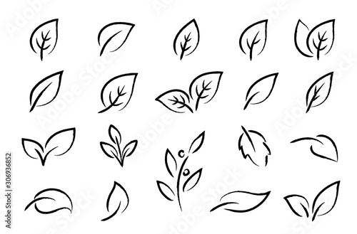 hand drawn black leaf branch icons eco set