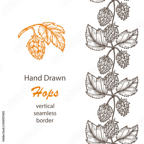 Hand drawn engraving style Hops icon and vertical Seamless border. Common hop or Humulus lupulus branch with leaves and cones. Vector Floral card