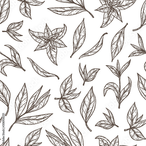 Hand drawn engraving style Green tea leaves Seamless pattern. Vector illustration