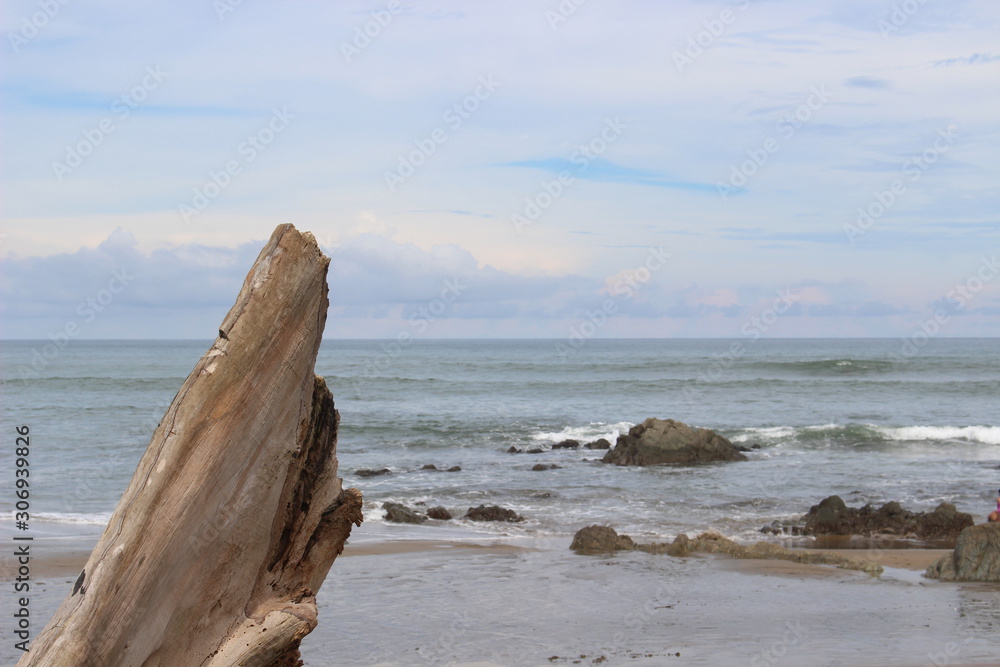 Playa, rocas y troncos