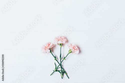 Fototapeta Naklejka Na Ścianę i Meble -  Beautiful pink carnation flowers on white wooden background