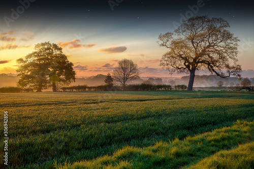 Farmland sunrise and trees landscape photo
