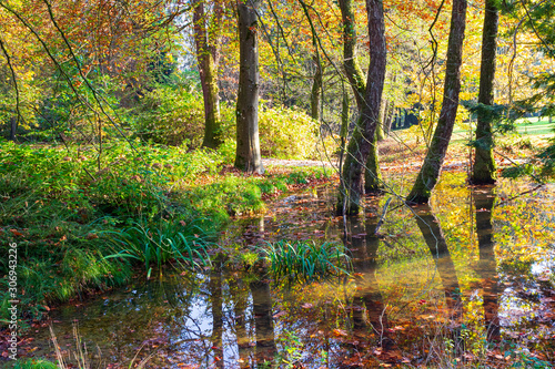 Fototapeta Naklejka Na Ścianę i Meble -  Arboretum in fall