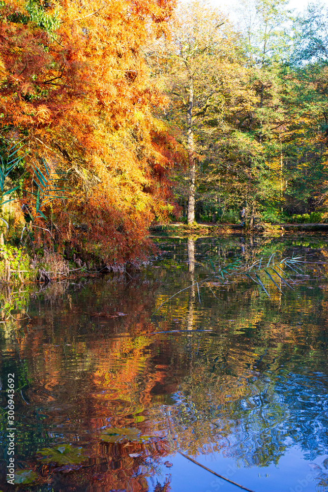 Arboretum in fall