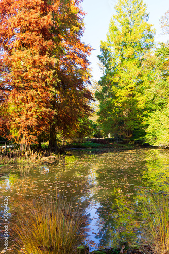 Arboretum in fall