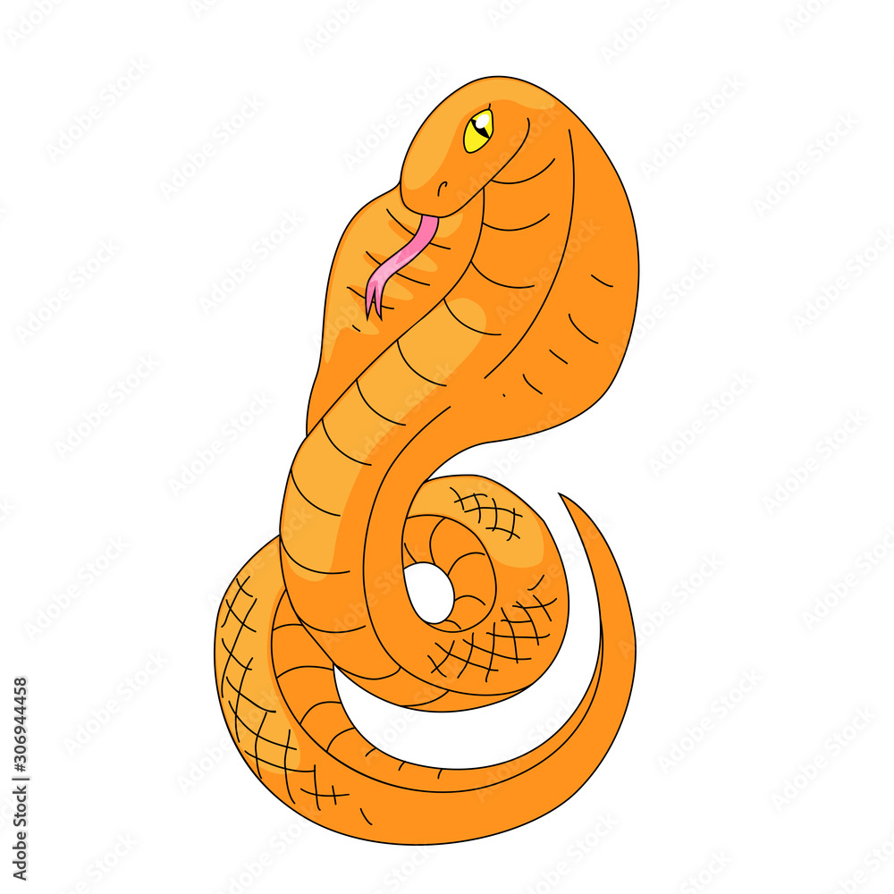 Fototapeta premium Snake vector illustration